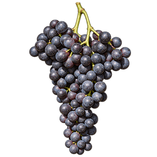 Alexandrouli grape cluster
