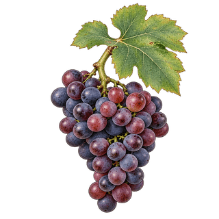 Dureza grape cluster